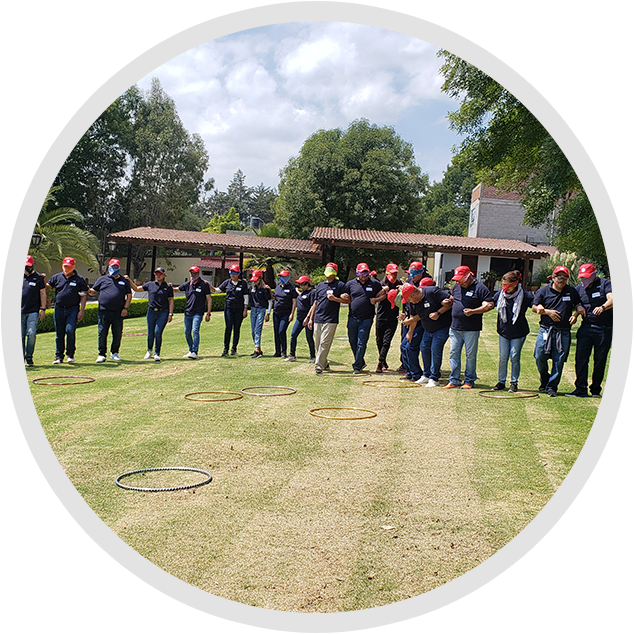 Desarrollo organizacional